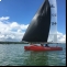 Katamaran Hobie Cat F18 Tiger Bild 3 